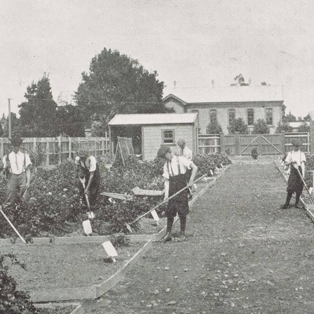 men gardening in an allotment
